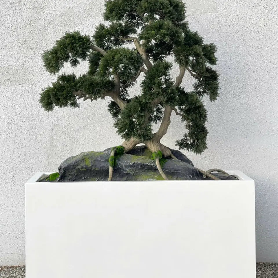 FloraGlow™ Binnenbloemen