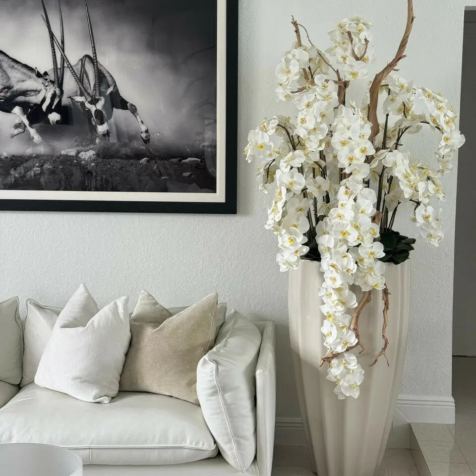 FloraGlow™ Binnenbloemen