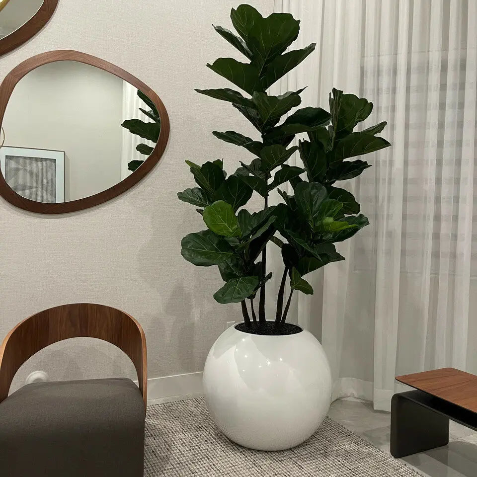 FloraGlow™ Binnenbloemen