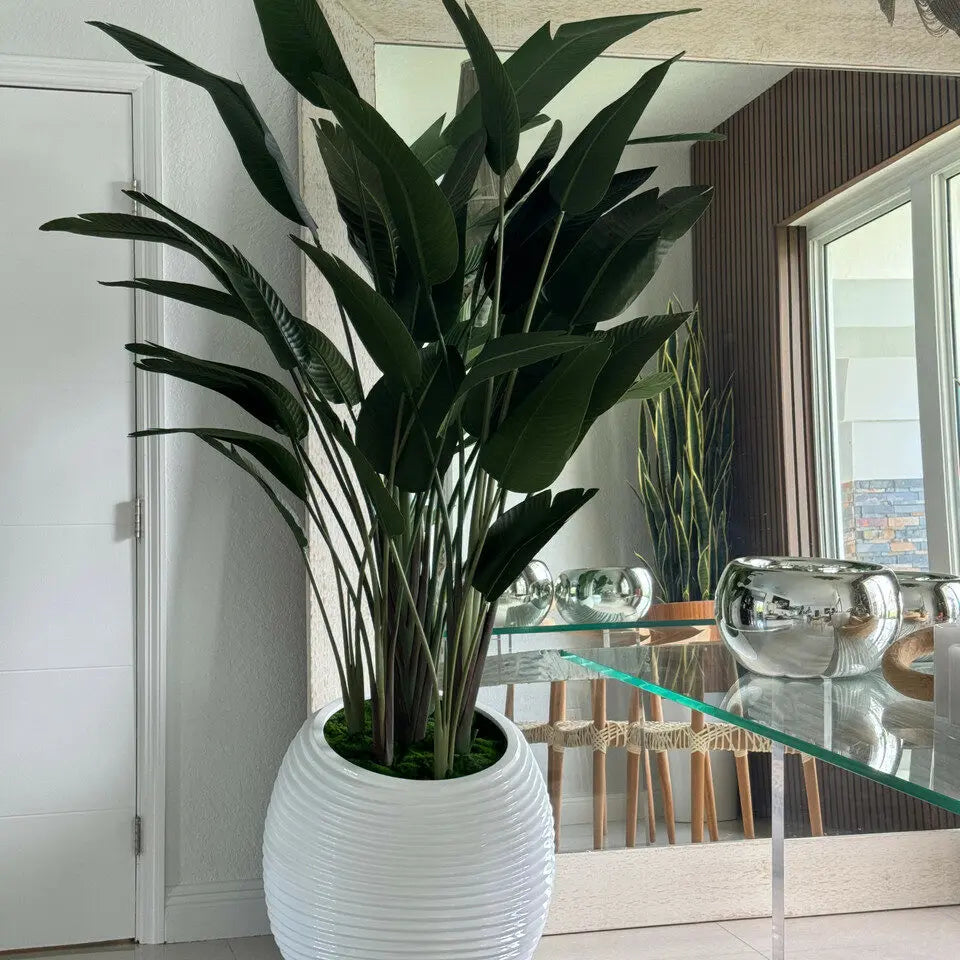 FloraGlow™ Binnenbloemen